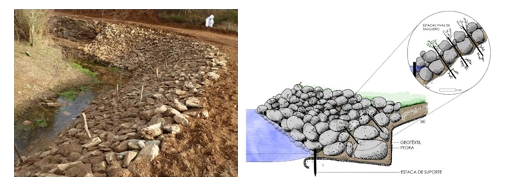Enrocamento vivo: obra executada e esquema com estacas vivas de salgueiro entre as pedras