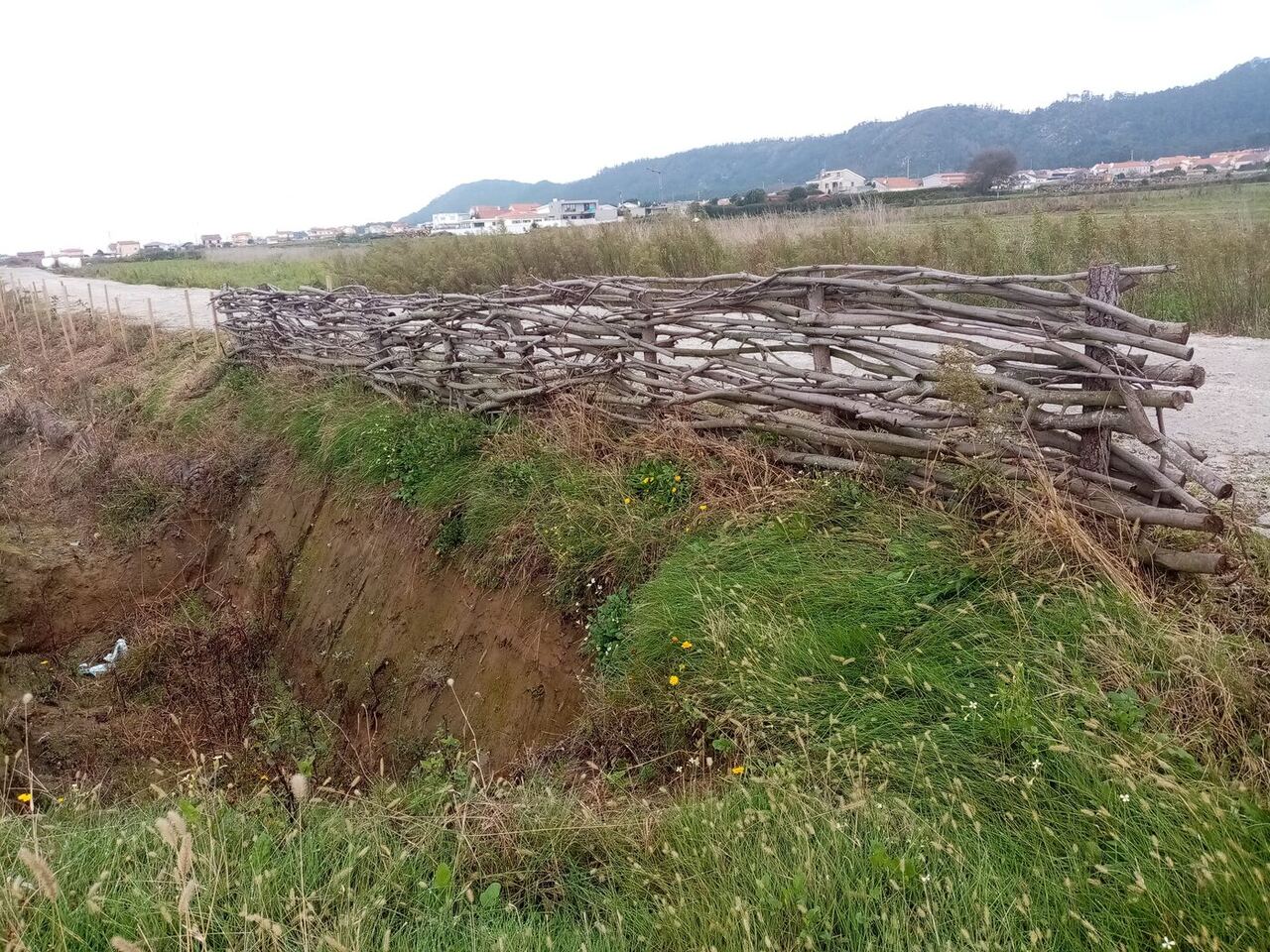 Entrançado vivo sobre talude com vegetação instalada